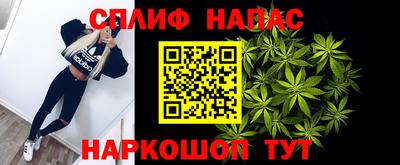 СК Абакан
