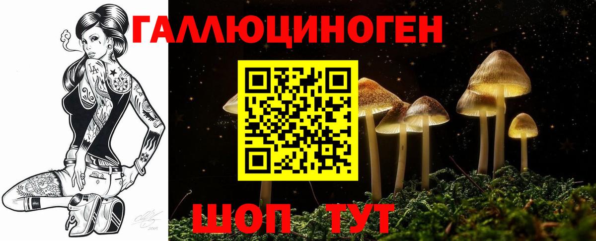Псилоцибиновые грибы Cubensis Апшеронск
