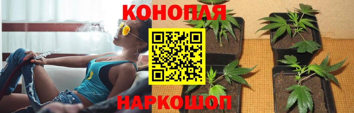 Канабис THC 21%  Конопля план  Апшеронск  Бошки Шишки Bruce Banner  Вход с VPN 